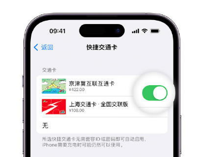 元阳apple维修点分享iPhone上更换Apple Pay快捷交通卡手绘卡面 