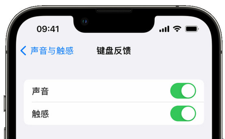 元阳苹果手机维修分享iPhone 14触感键盘使用方法 