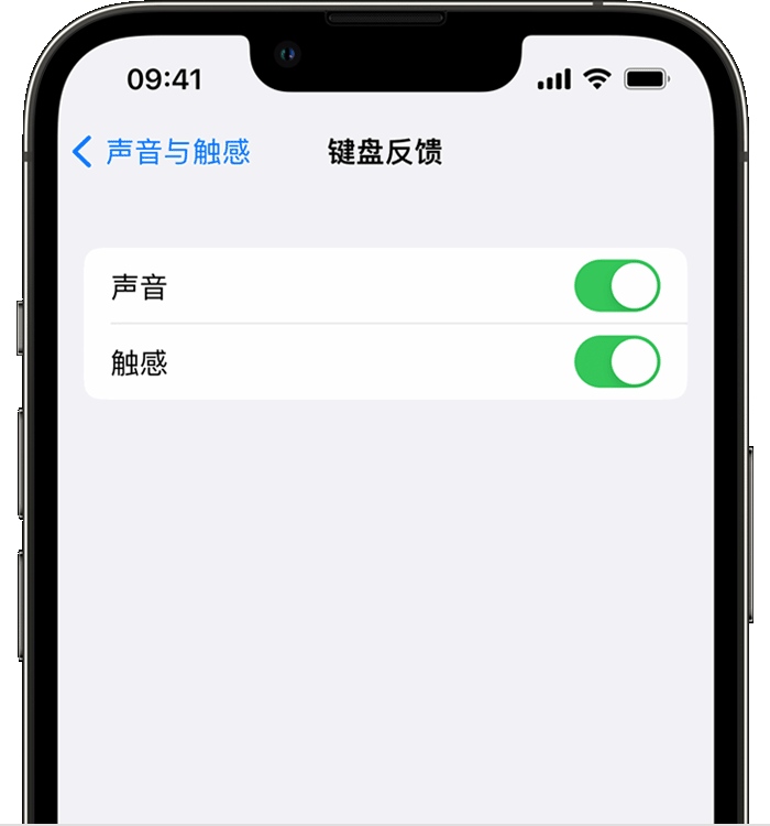 元阳苹果14维修店分享如何在 iPhone 14 机型中使用触感键盘 