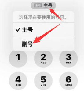 元阳苹果14维修店分享iPhone 14 Pro Max使用副卡打电话的方法 