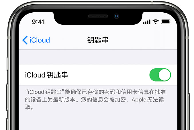 元阳苹果手机维修分享在 iPhone 上开启 iCloud 钥匙串之后会储存哪些信息 