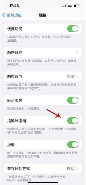 元阳苹果手机维修分享iPhone手机如何设置摇一摇删除文字 